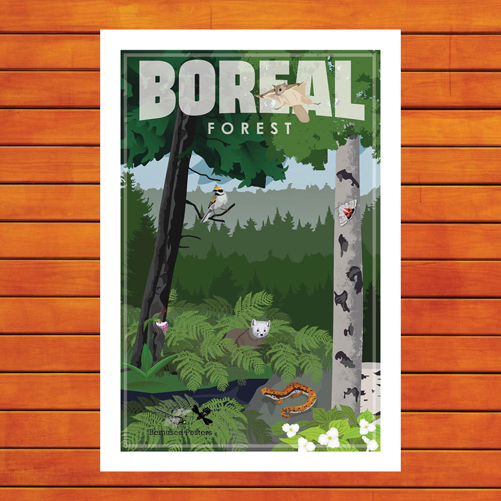 Boreal Forest