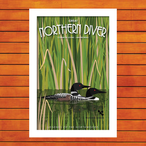 Loons - Great Northern Diver